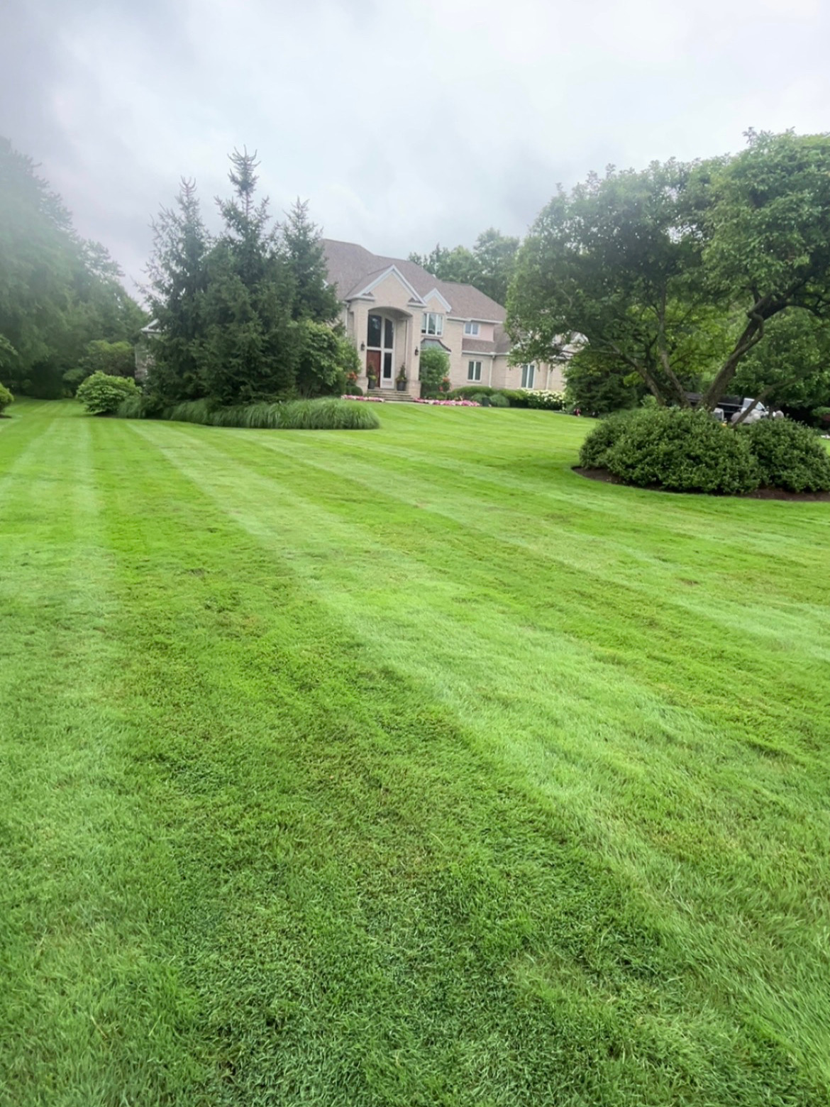 Lawn Care & Maintenance